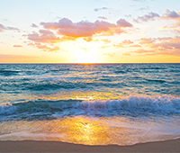 Florida's water thumbnail